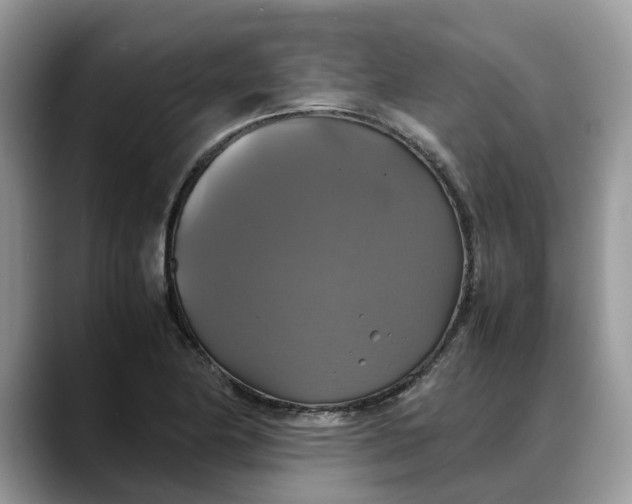 X0000088231174200705292128