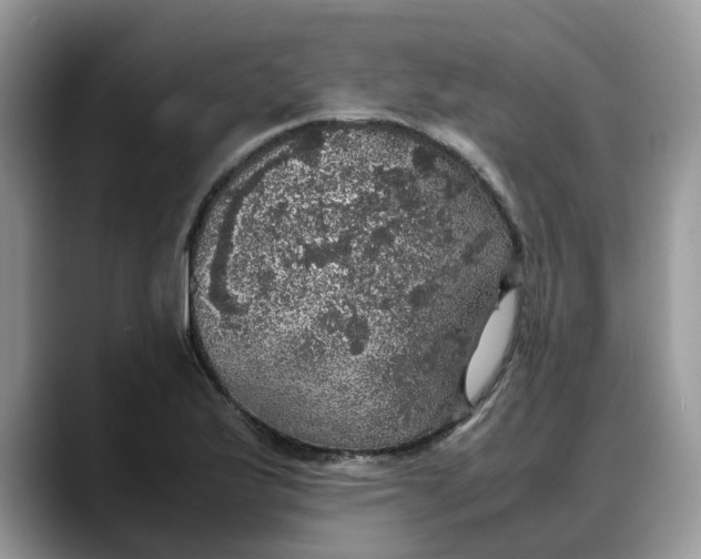 X0000088231175200705292128