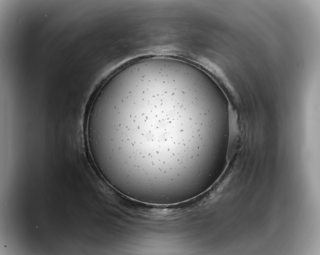 X0000088231176200705292128