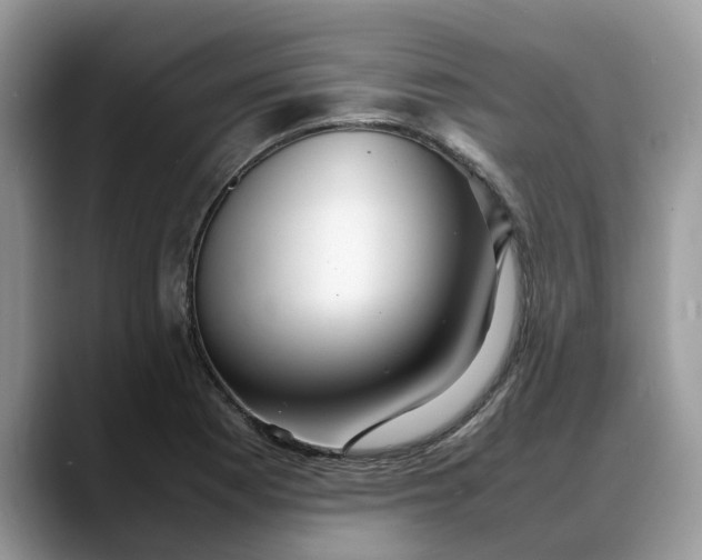 X0000088231177200705292128