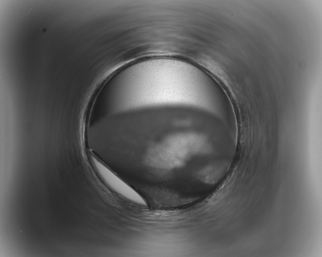 X0000088231179200705292128