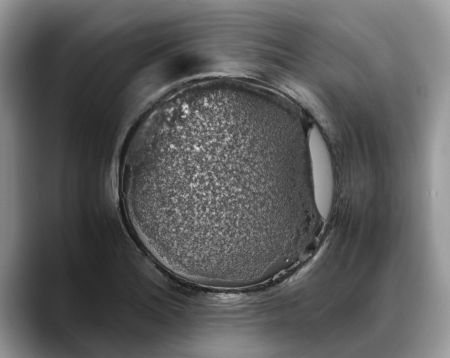 X0000088231180200705292128