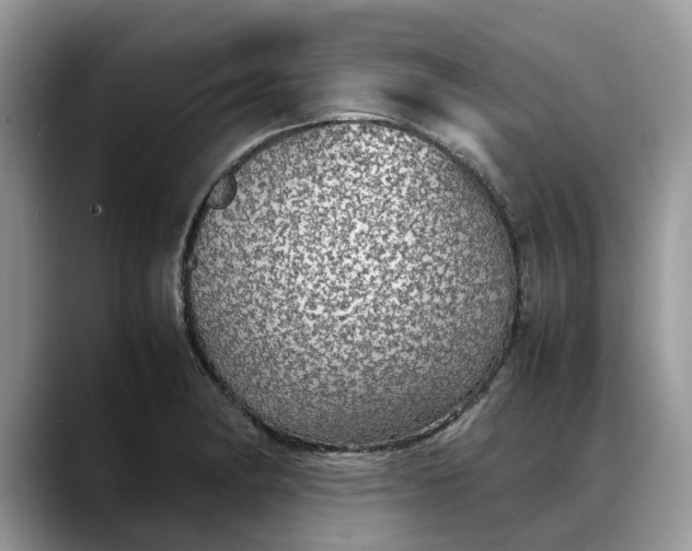 X0000088231182200705292128