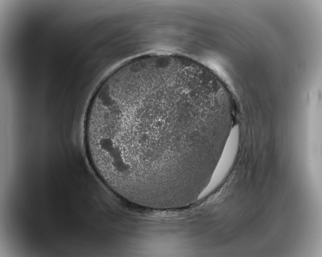 X0000088231183200705292128