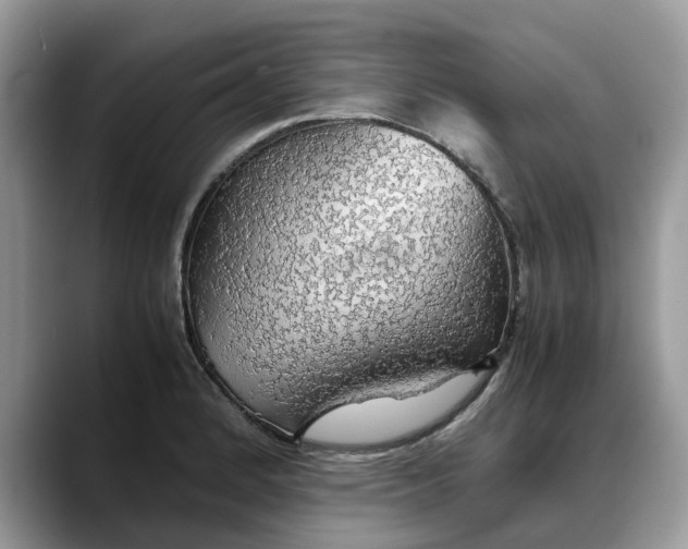 X0000088231184200705292128