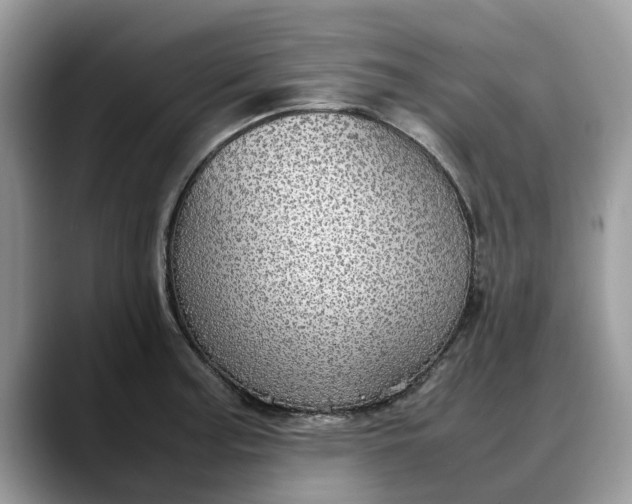 X0000088231187200705292128