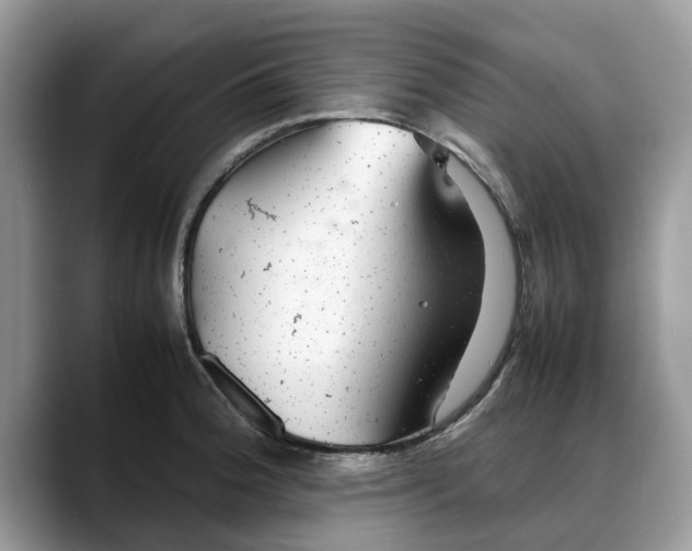 X0000088231188200705292128