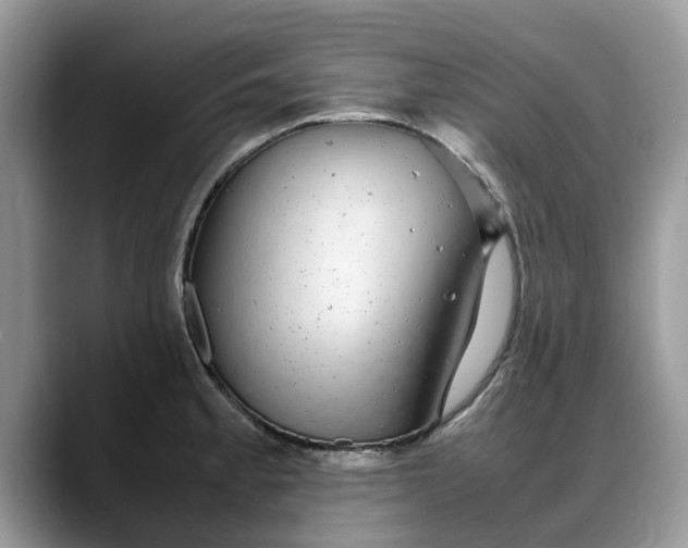 X0000088231189200705292128