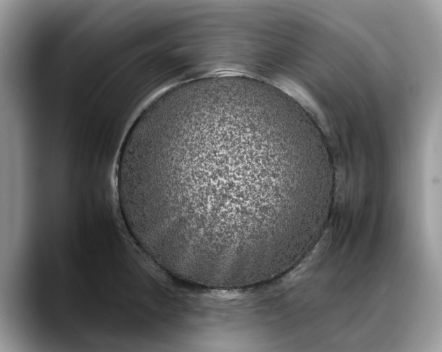X0000088231190200705292128
