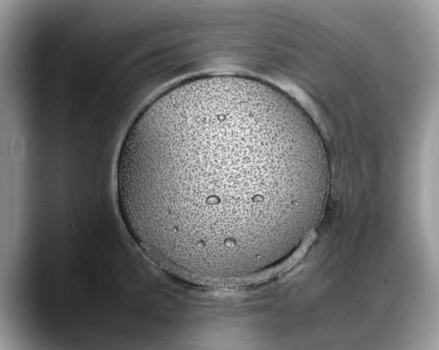 X0000088231191200705292128