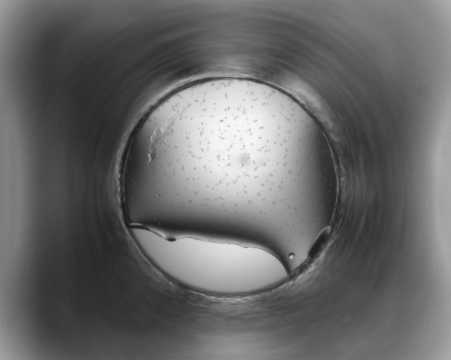 X0000088231192200705292128