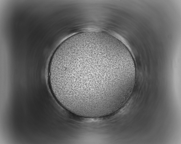 X0000088231195200705292127