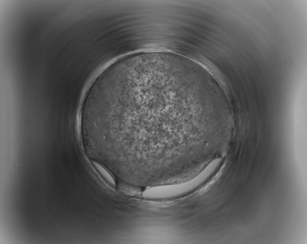 X0000088231196200705292127
