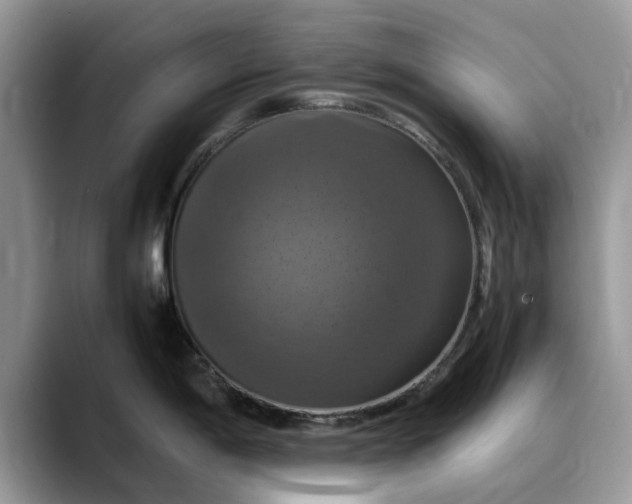 X0000088231198200705292127