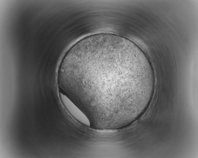 X0000088231200200705292127