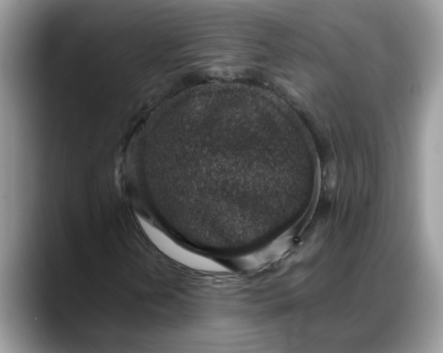 X0000088231202200705292127
