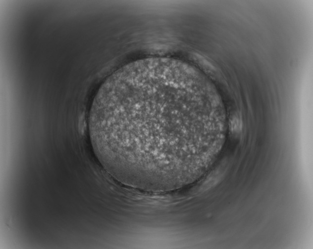 X0000088231204200705292127