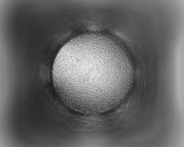 X0000088231205200705292127