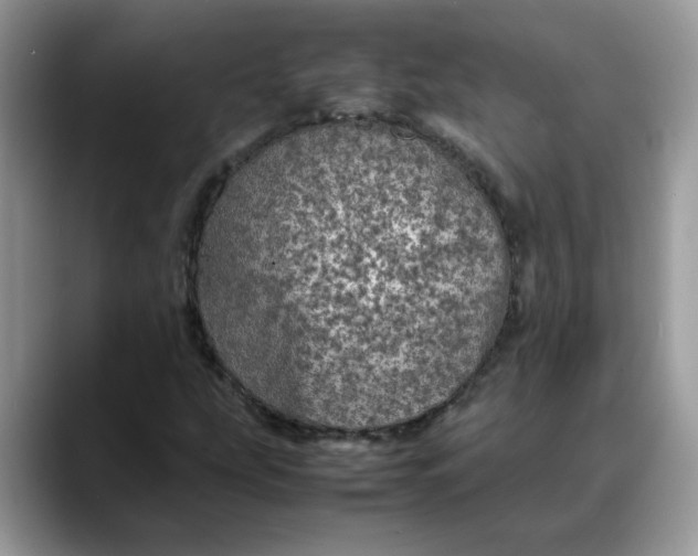 X0000088231207200705292127