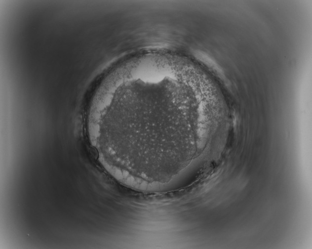 X0000088231208200705292127