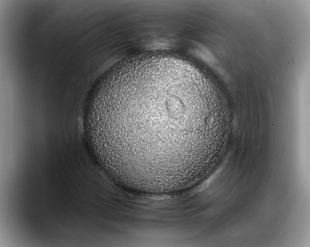 X0000088231209200705292127