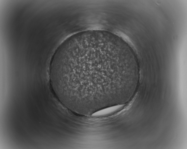 X0000088231212200705292127