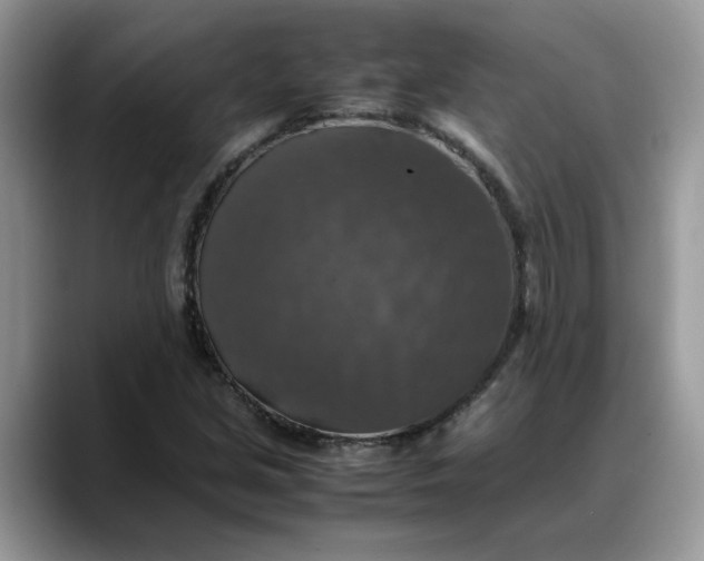 X0000088231213200705292127