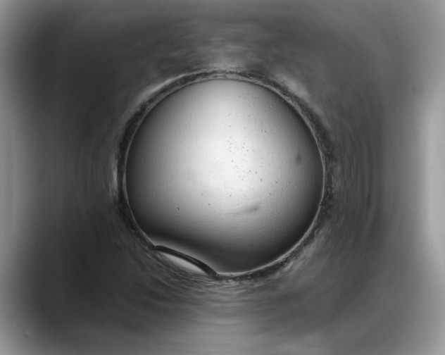 X0000088231214200705292127