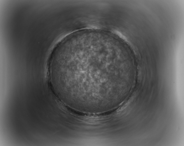 X0000088231215200705292127