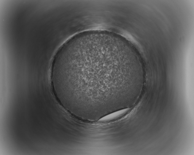 X0000088231216200705292127