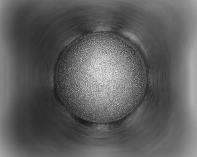 X0000088231217200705292127