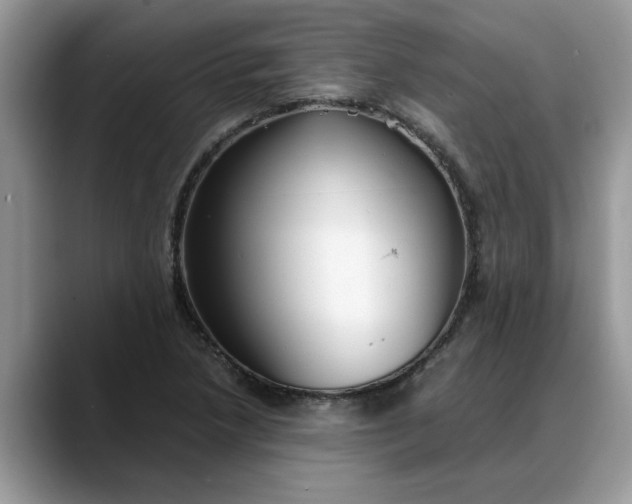 X0000088231218200705292127