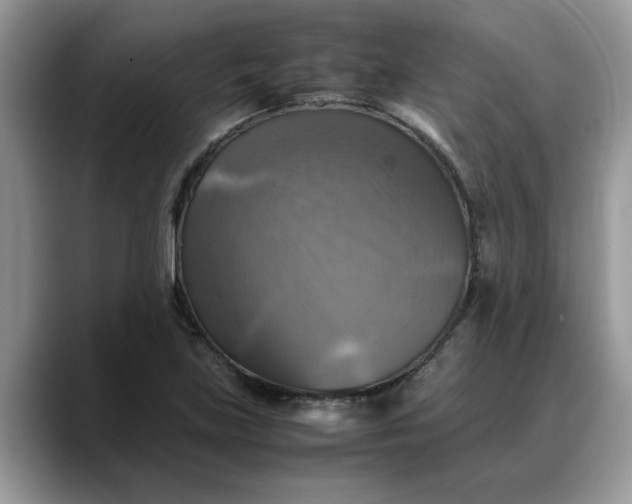 X0000088231219200705292127