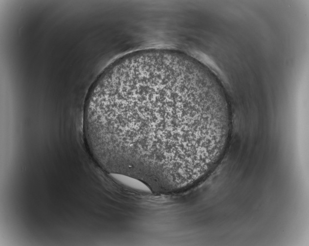 X0000088231220200705292127
