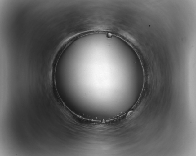 X0000088231222200705292127