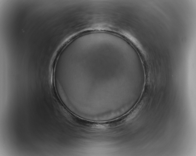 X0000088231224200705292127