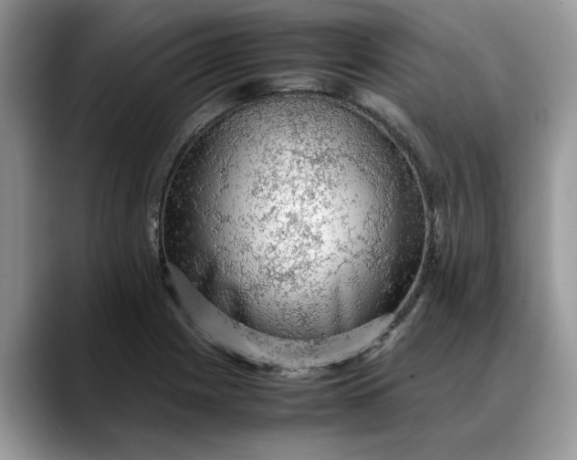 X0000088231225200705292127