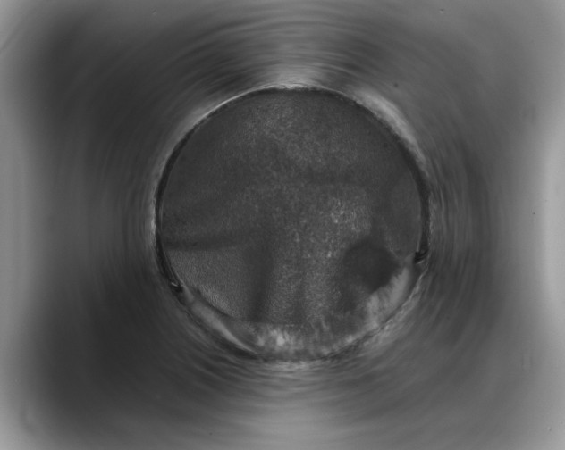 X0000088231226200705292127