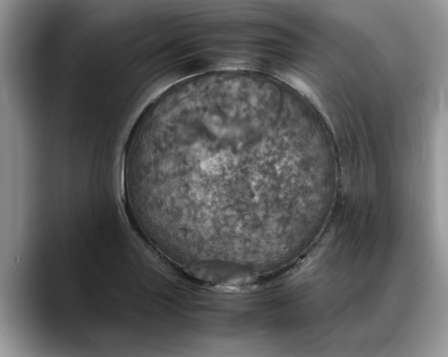 X0000088231227200705292127