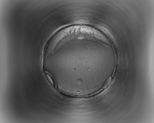 X0000088231228200705292127