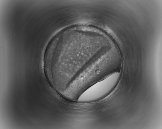 X0000088231232200705292127