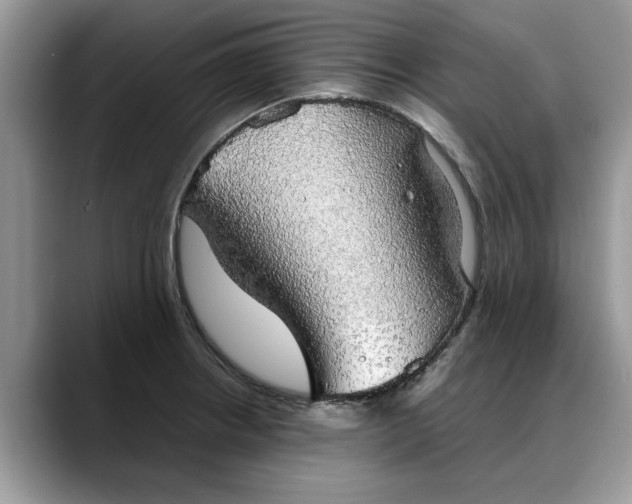 X0000088231234200705292127