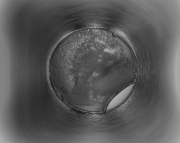 X0000088231235200705292127
