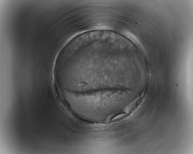 X0000088231236200705292127