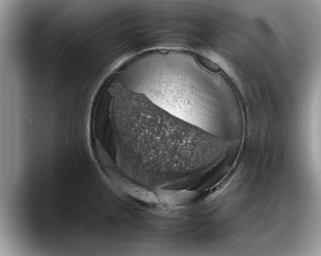 X0000088231237200705292127