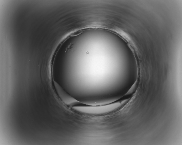 X0000088231238200705292127