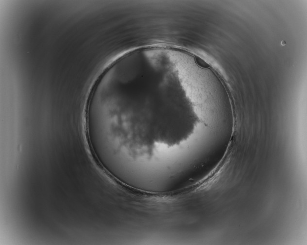 X0000088231239200705292127