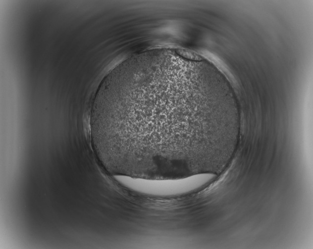 X0000088231241200705292127