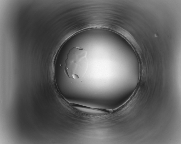 X0000088231242200705292127