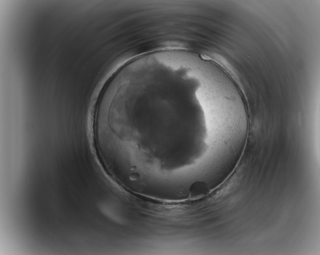 X0000088231243200705292127